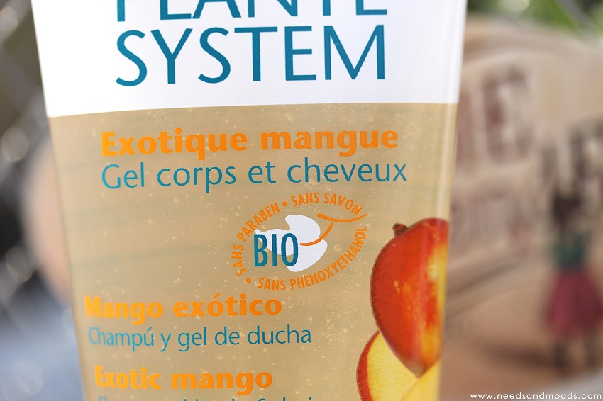 plante system exotique mangue