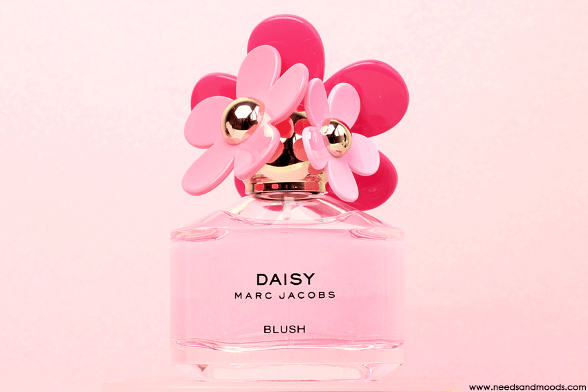 daisy-blush