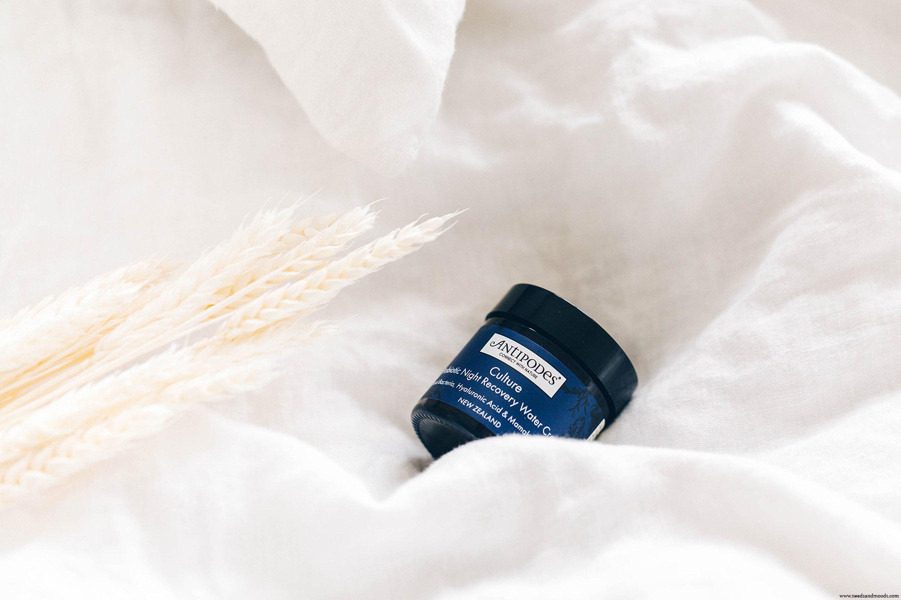 antipodes culture probiotic night recovery water cream avis test