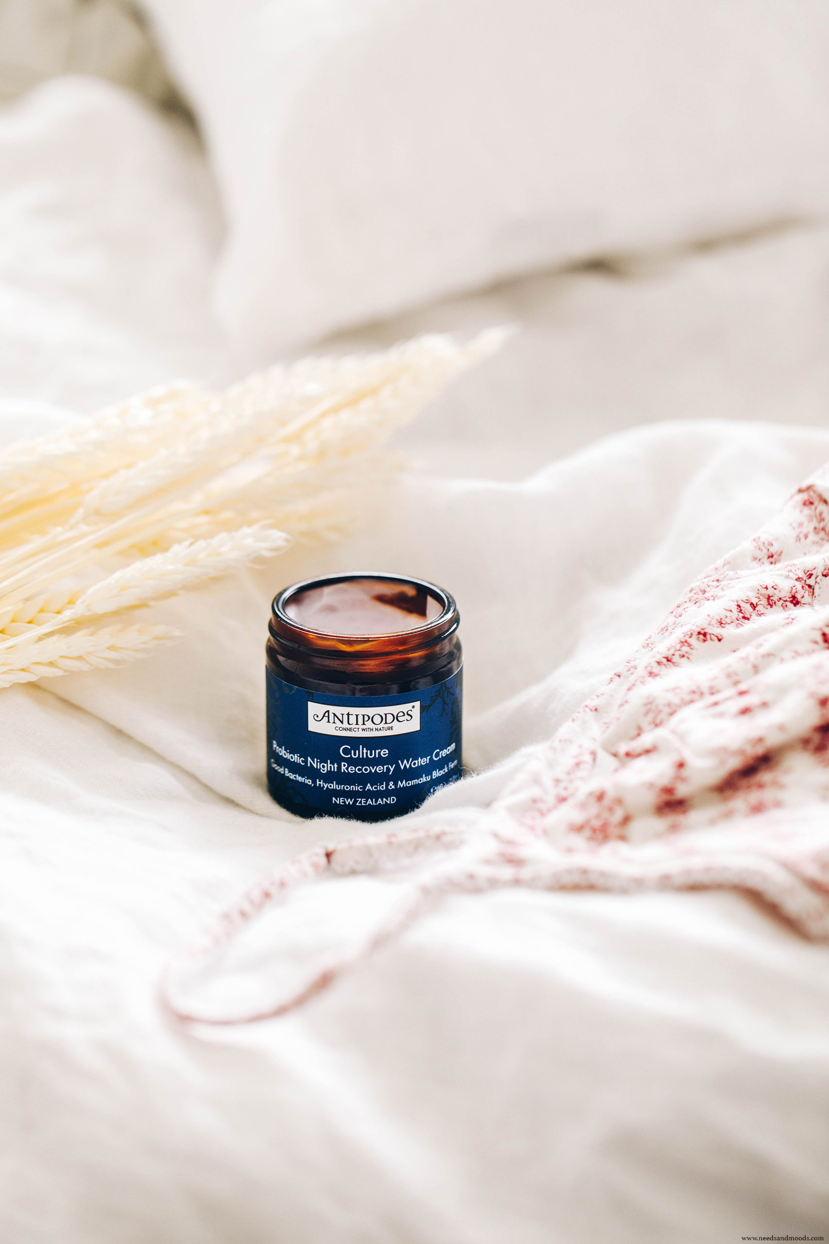 antipodes culture probiotic night recovery water cream